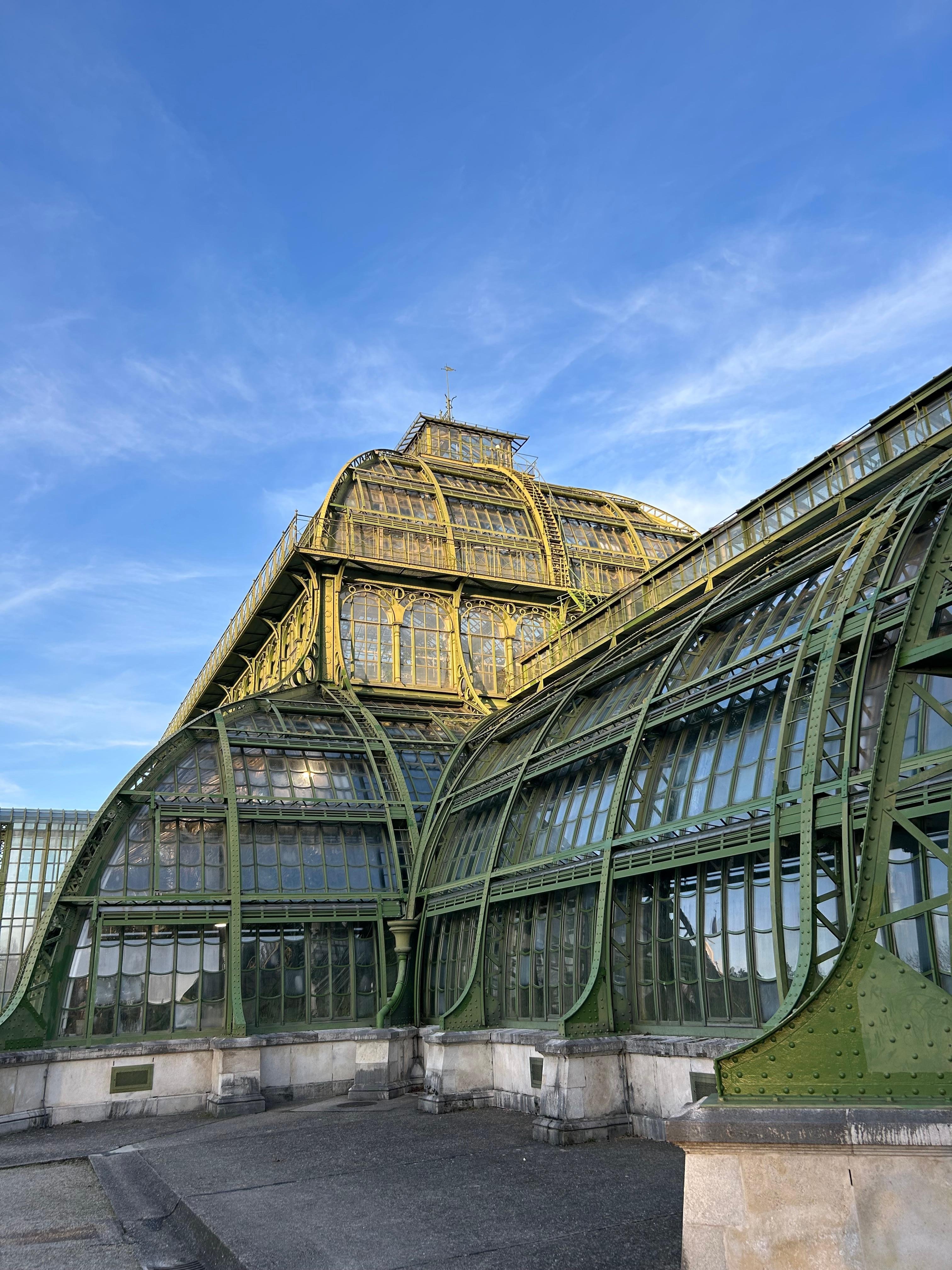 large palm greenhouse!!!