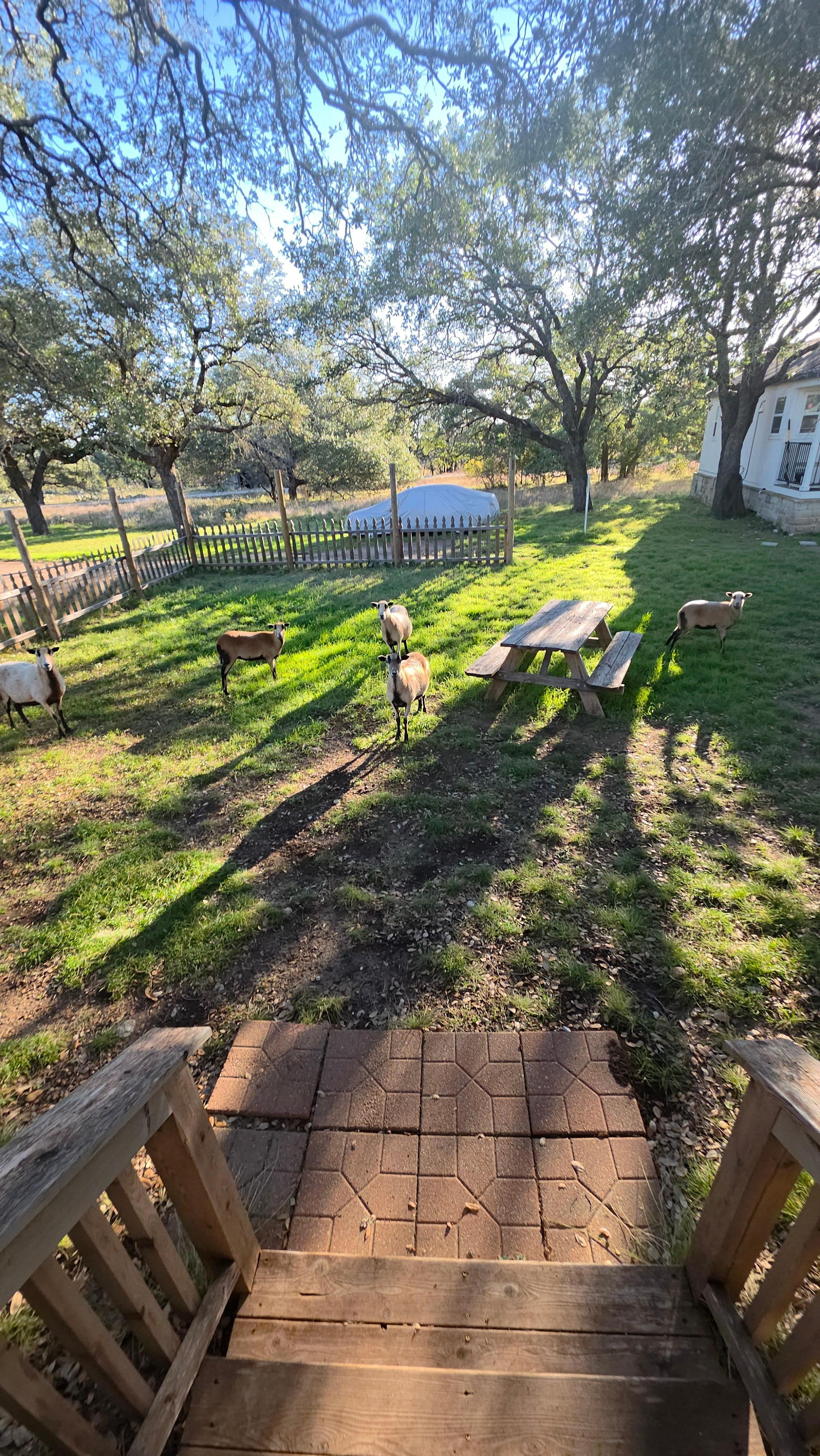 We loved having the morning visitors