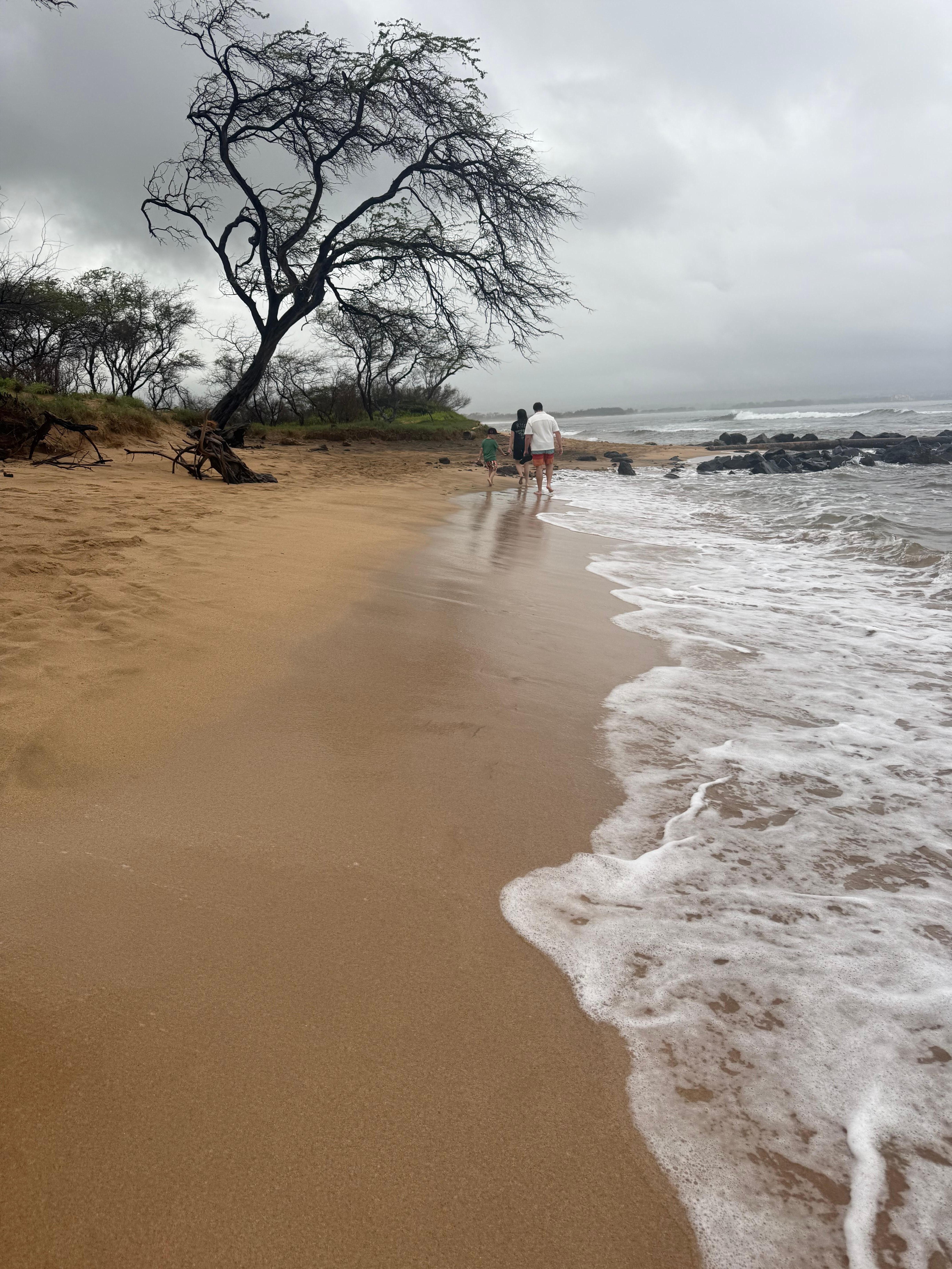 Miles of beach right outside the property and easy access.