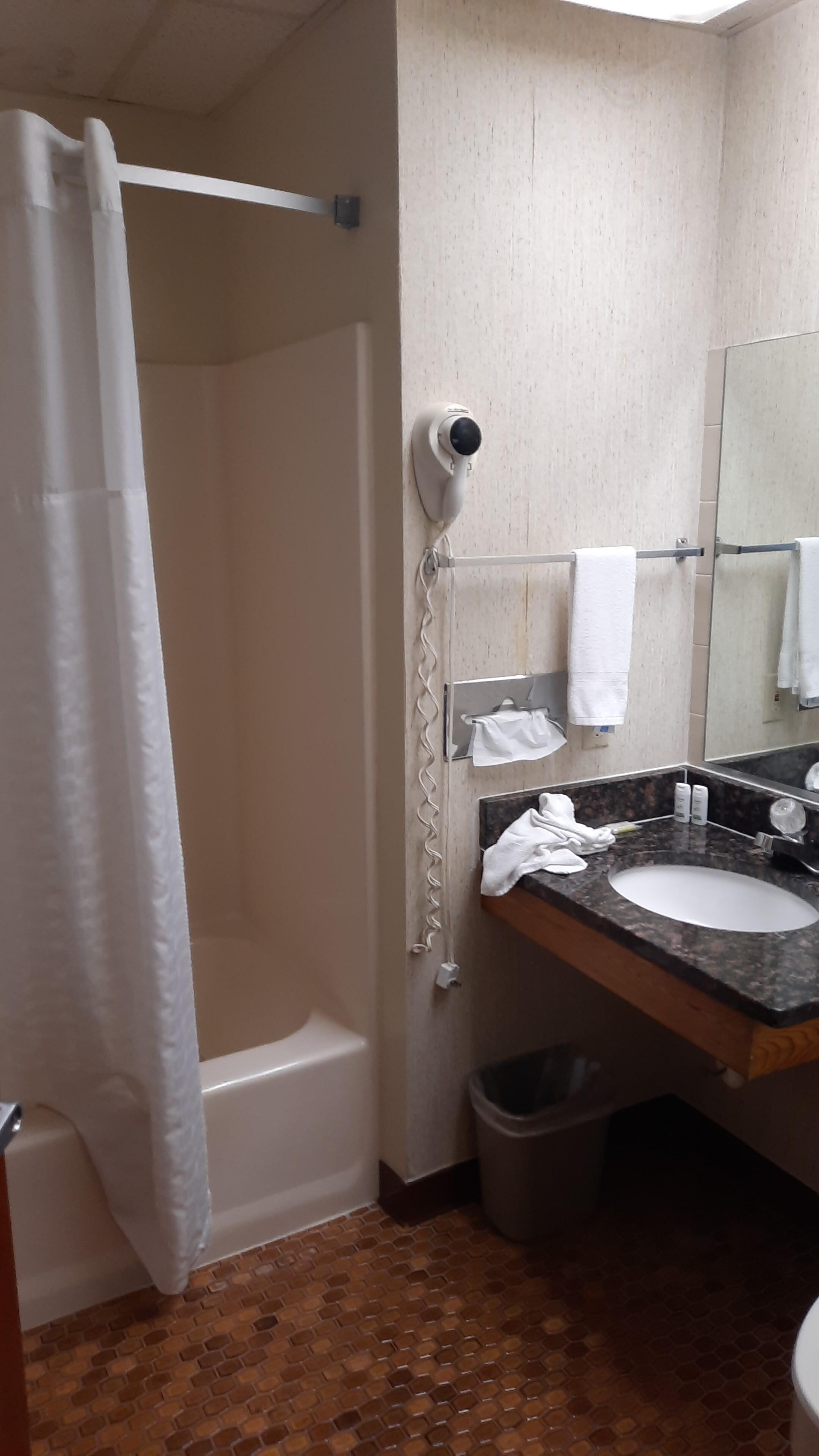 Bathroom was presentable. Had 2 shampoos no conditioner