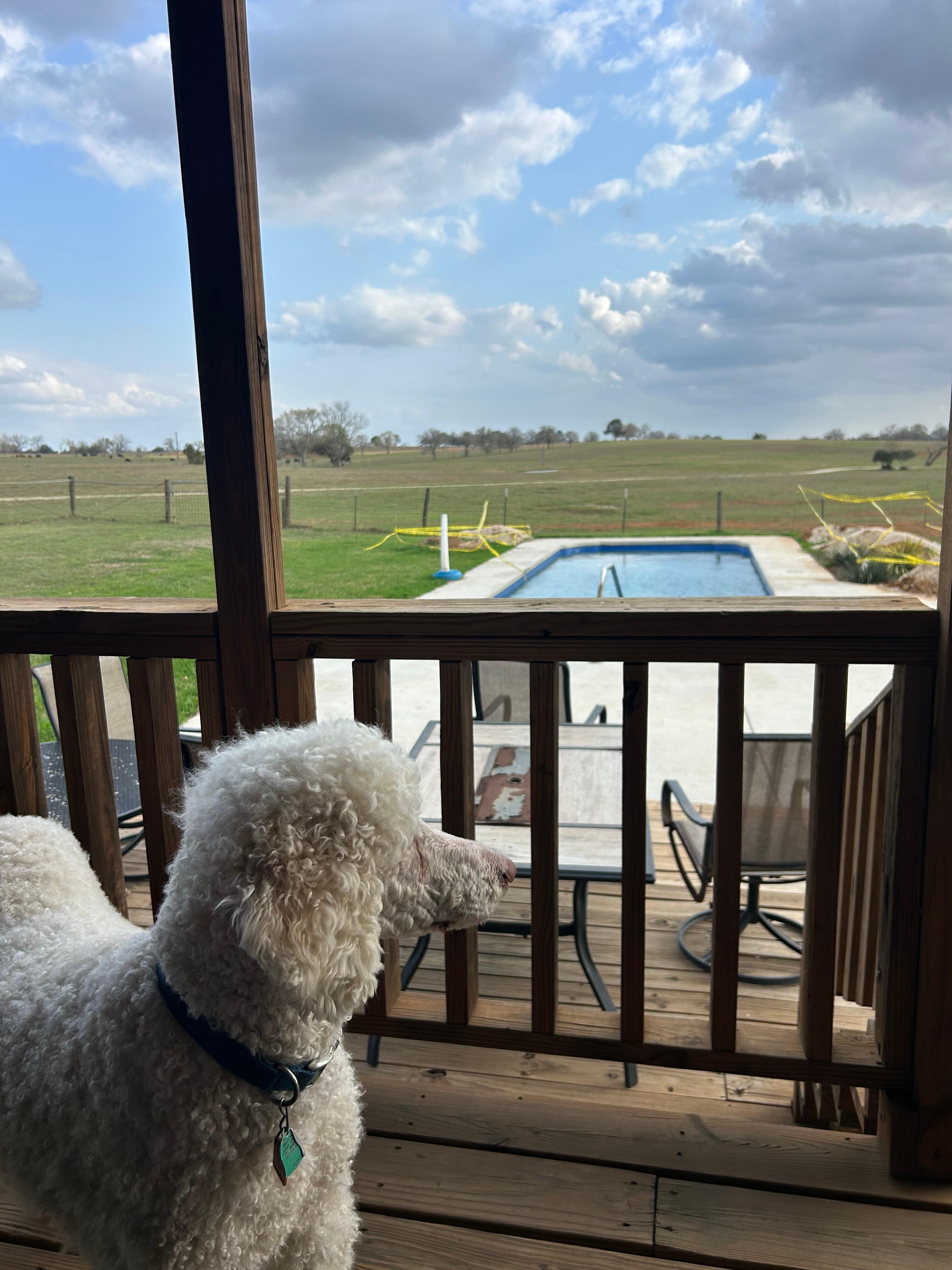 From the deck looking over the pool to the property there to enjoy. 