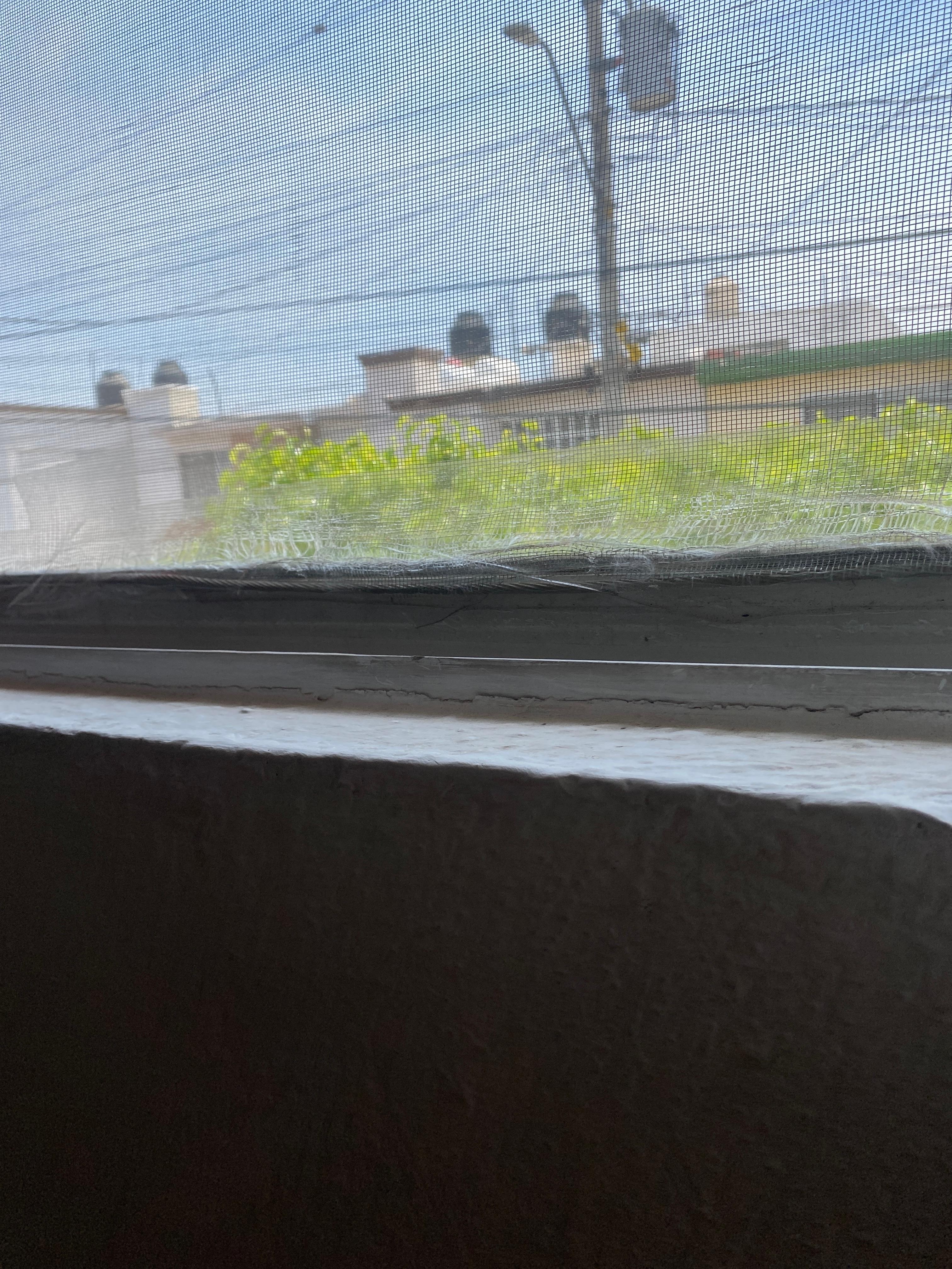 Esta foto no es del lugar pero no permite dar siguiente en la encuesta