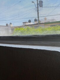 Esta foto no es del lugar pero no permite dar siguiente en la encuesta