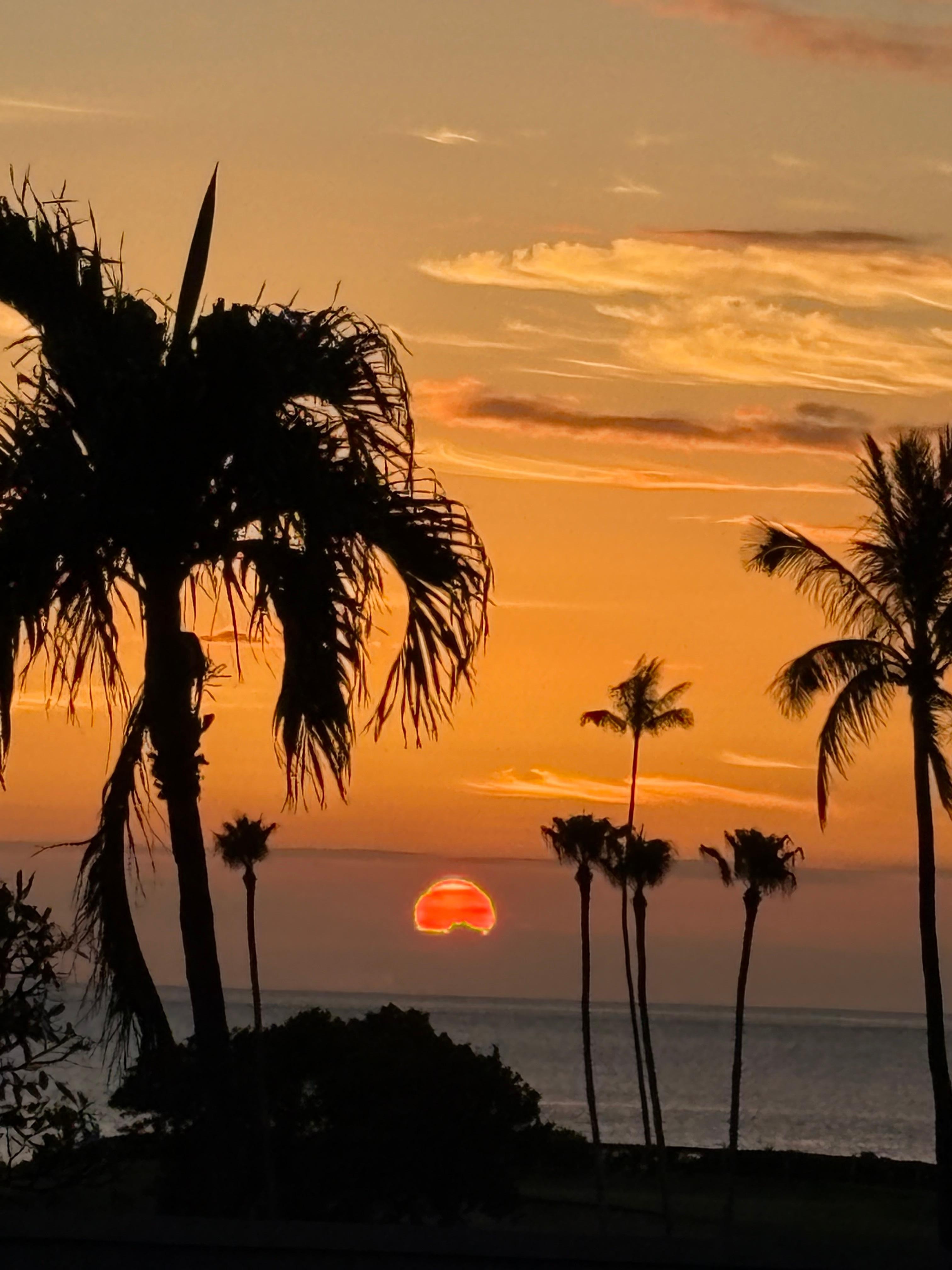 Sunset at the pool