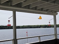 Hummingbird feeding.