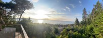 Panoramic view