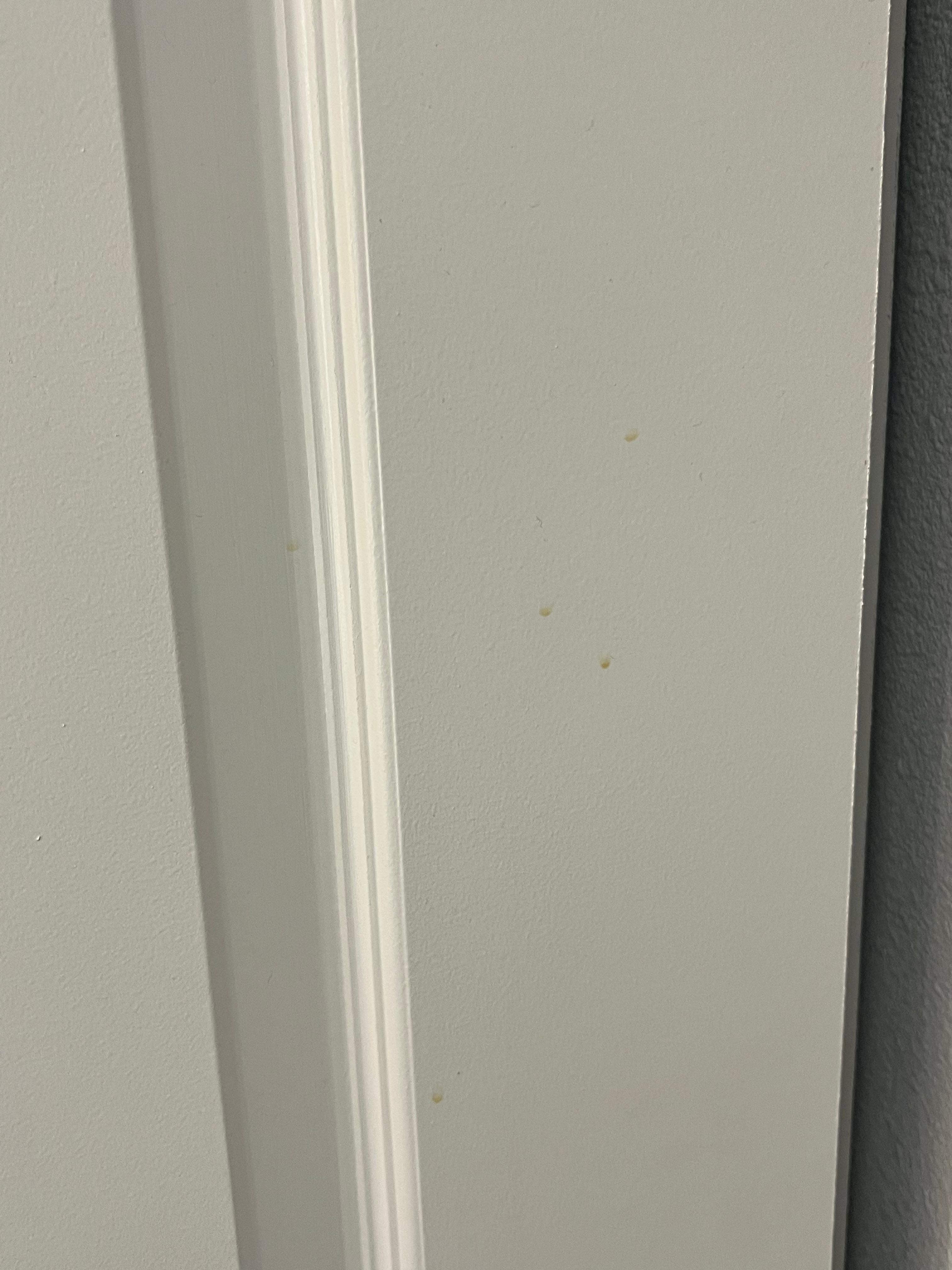 Stains on closet door.