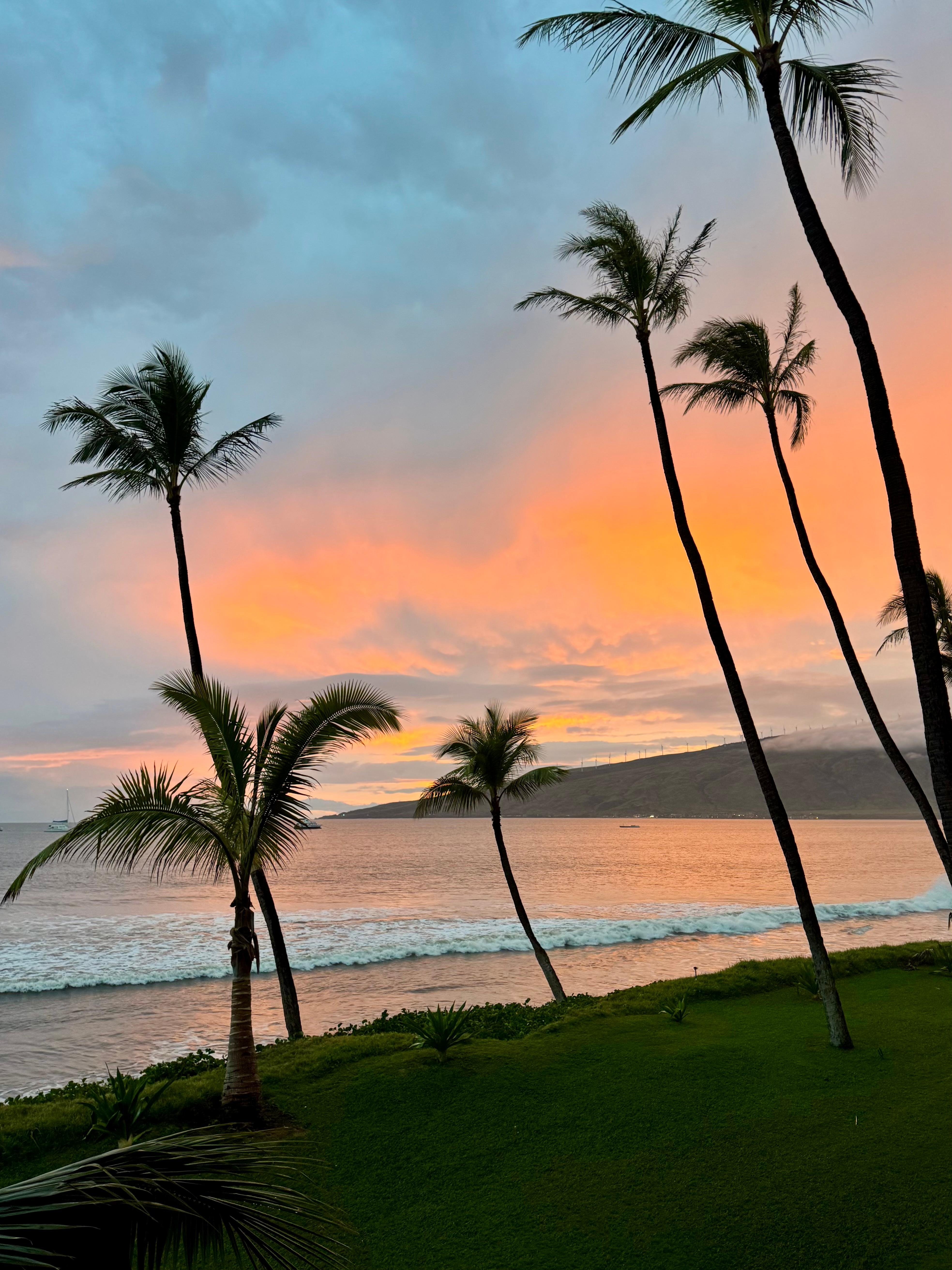 Photo taken from lanai