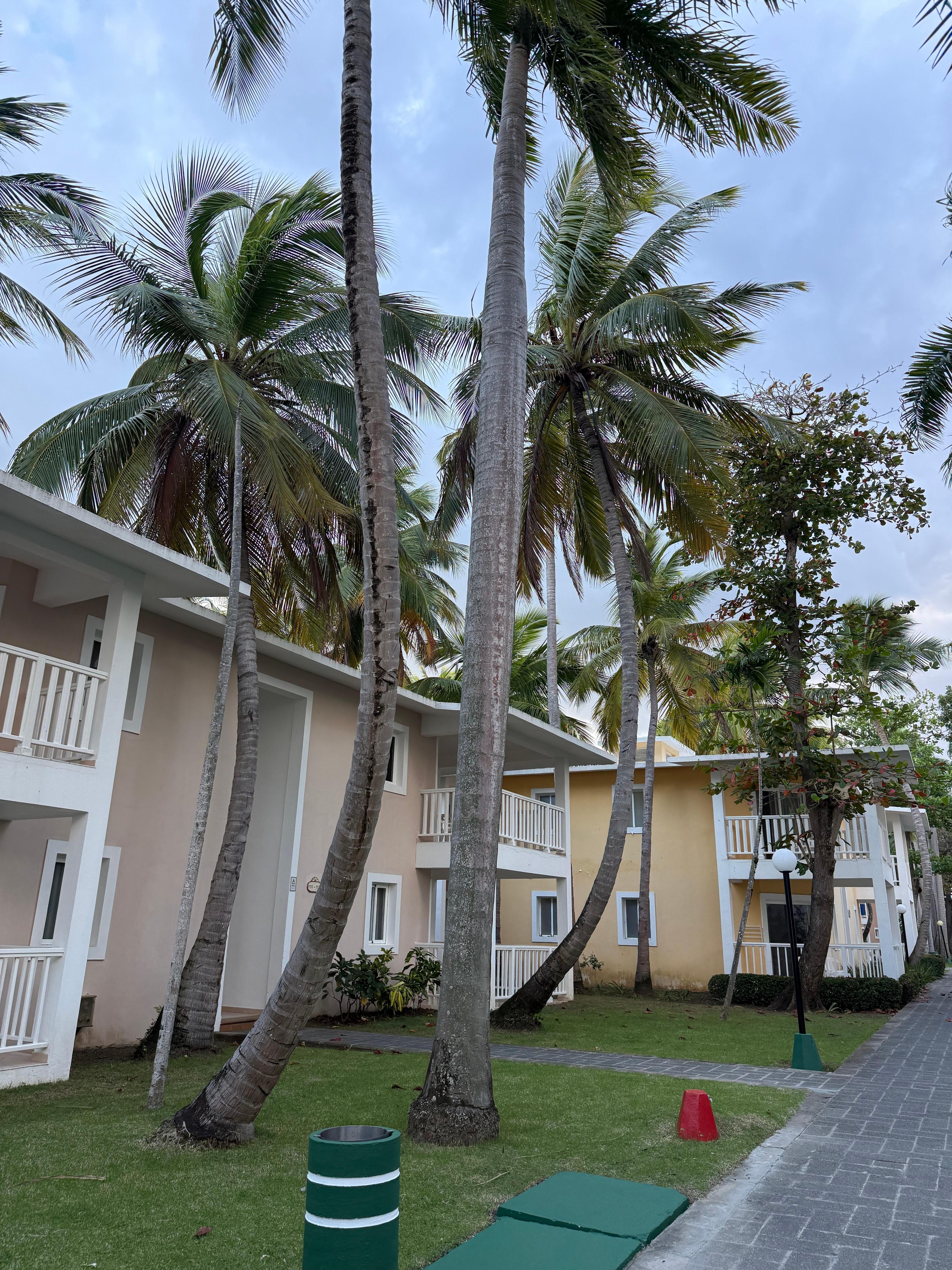 Un poco de las habitaciones 