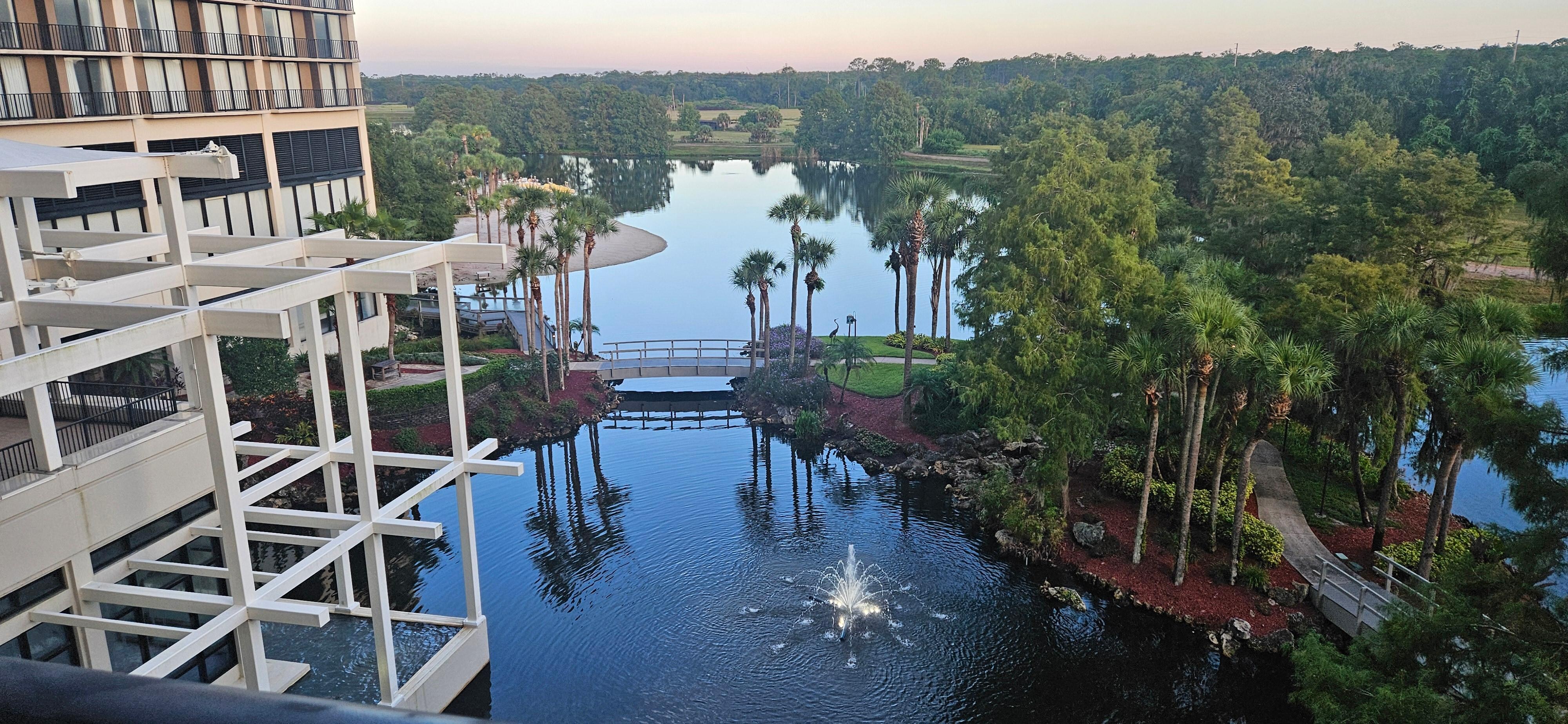 Looking out my window