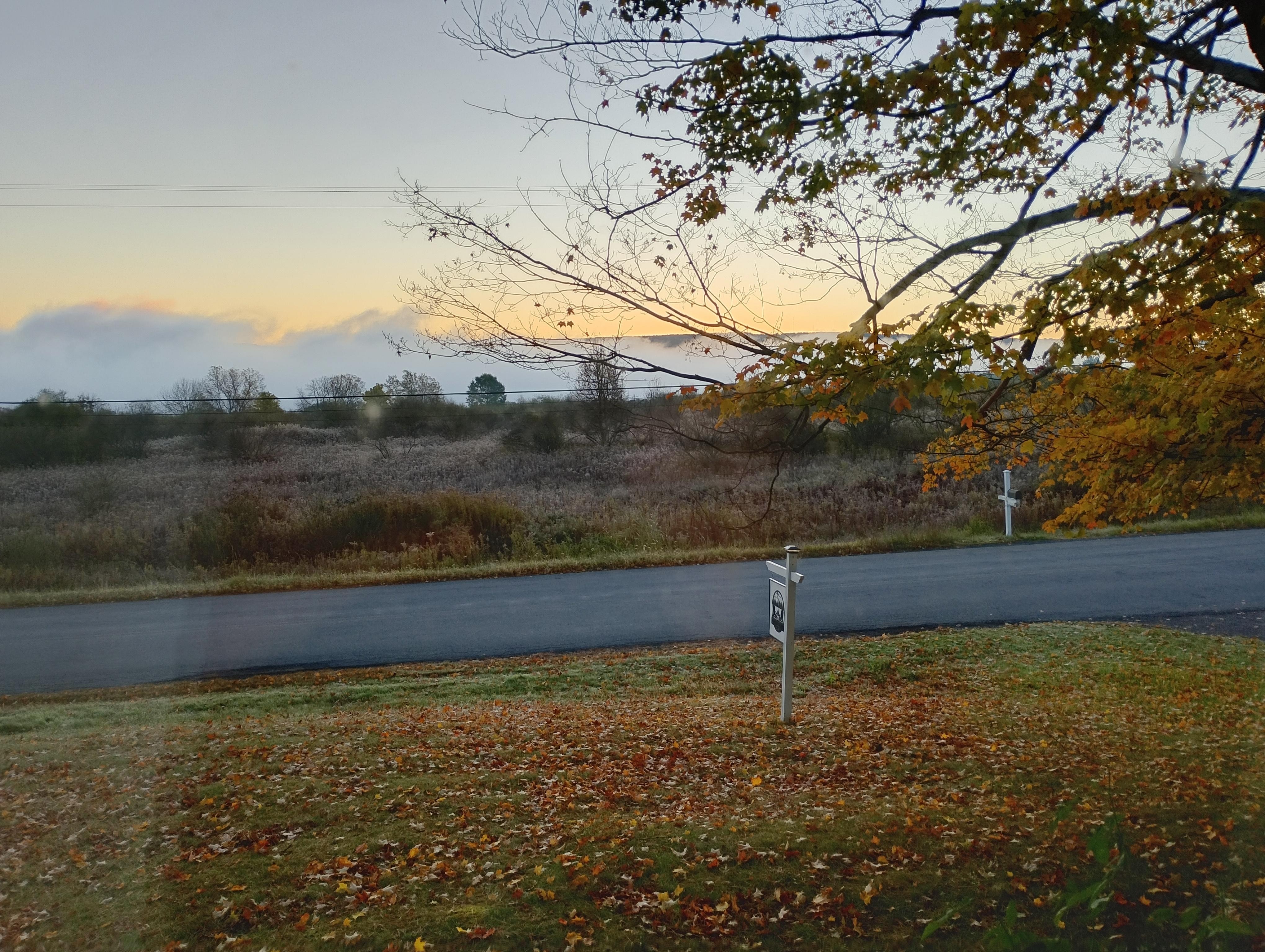 Early morning view from the bedroom.