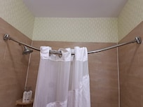 Shower curtain