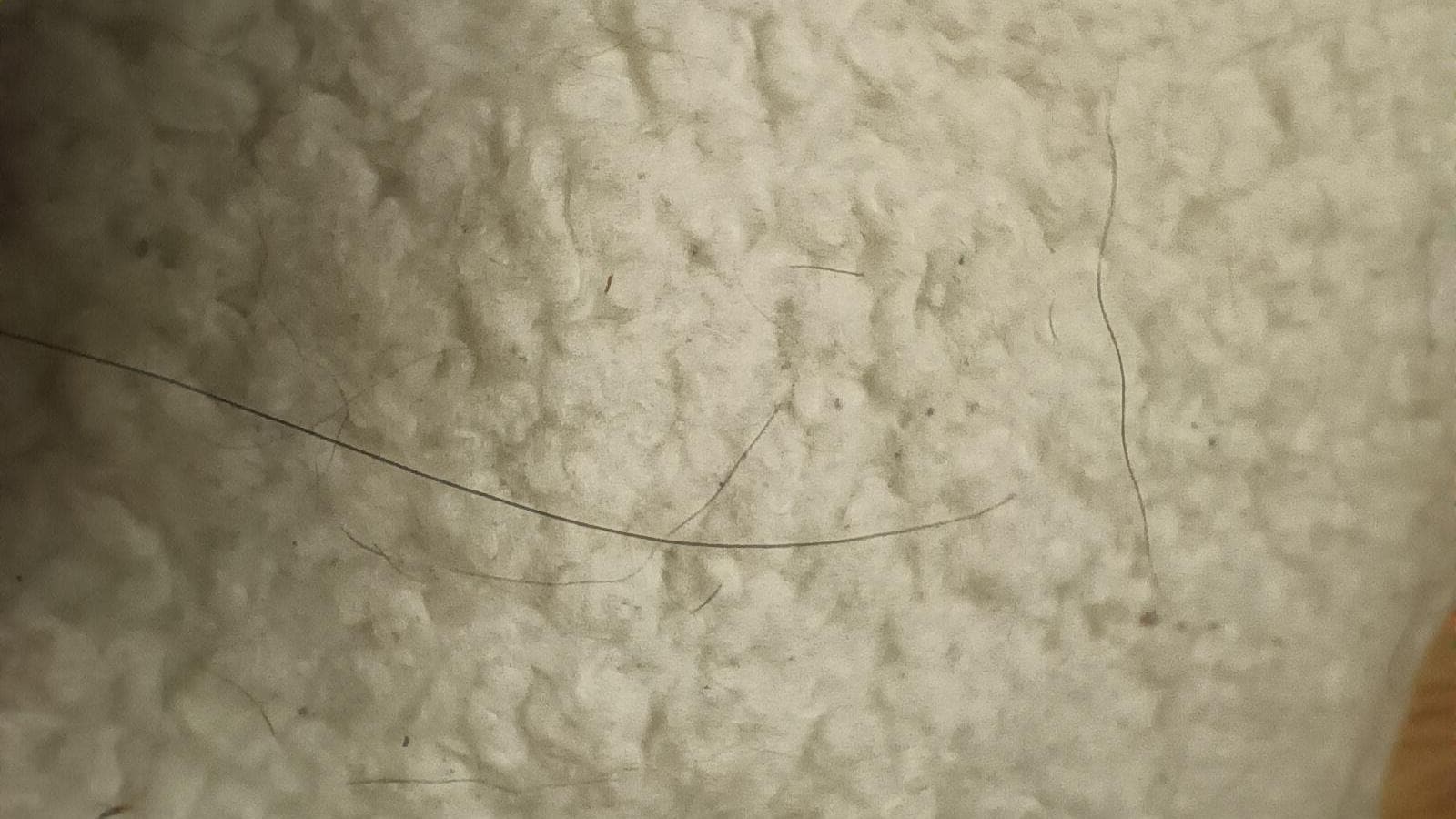 Pillows had hair on them from previous guests and pets