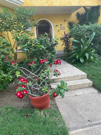 inviting entrance to villa