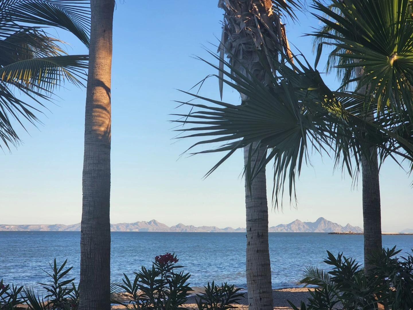 The view from our Palapa 