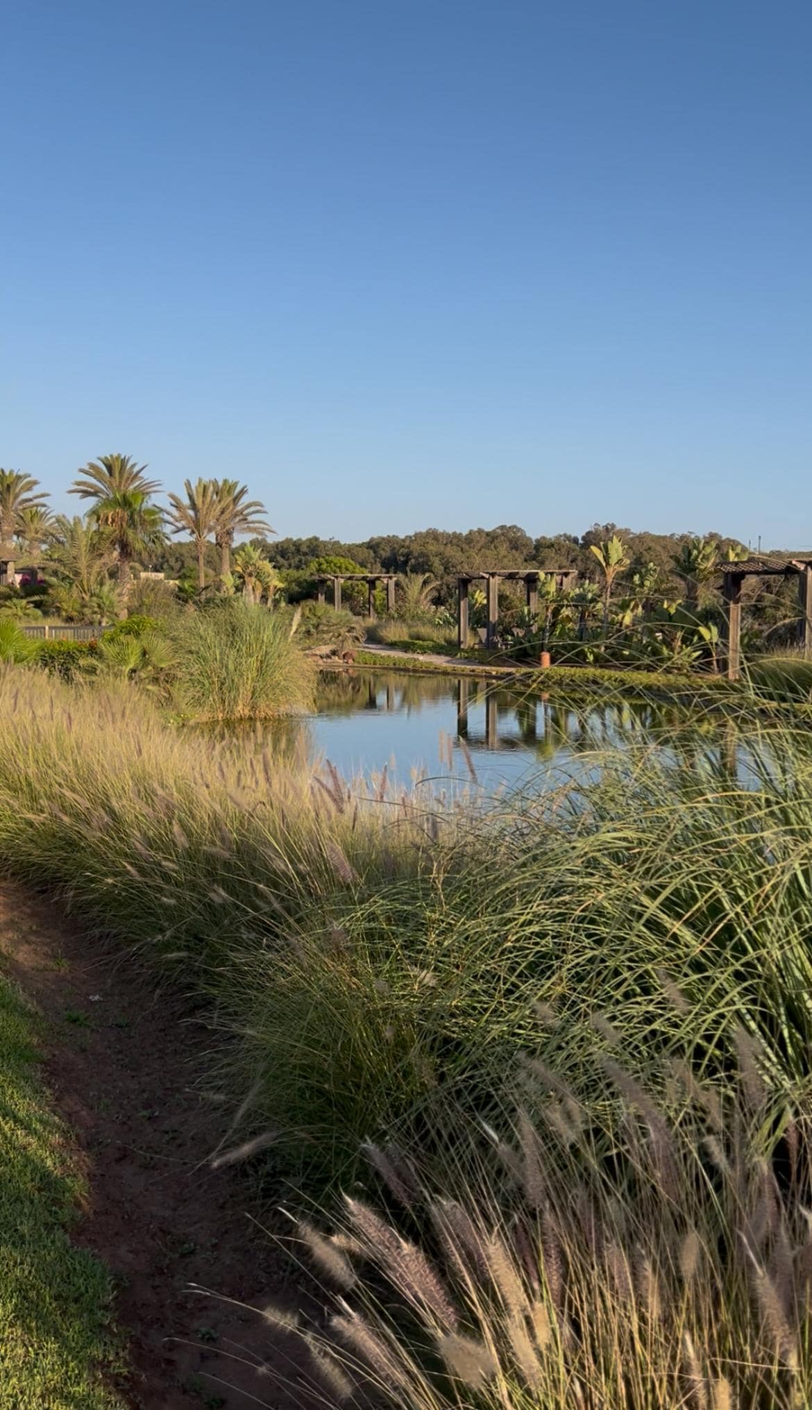 Lagoon