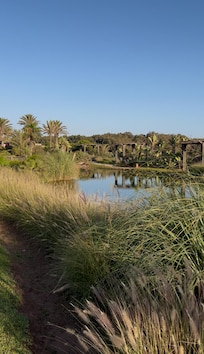 Lagoon