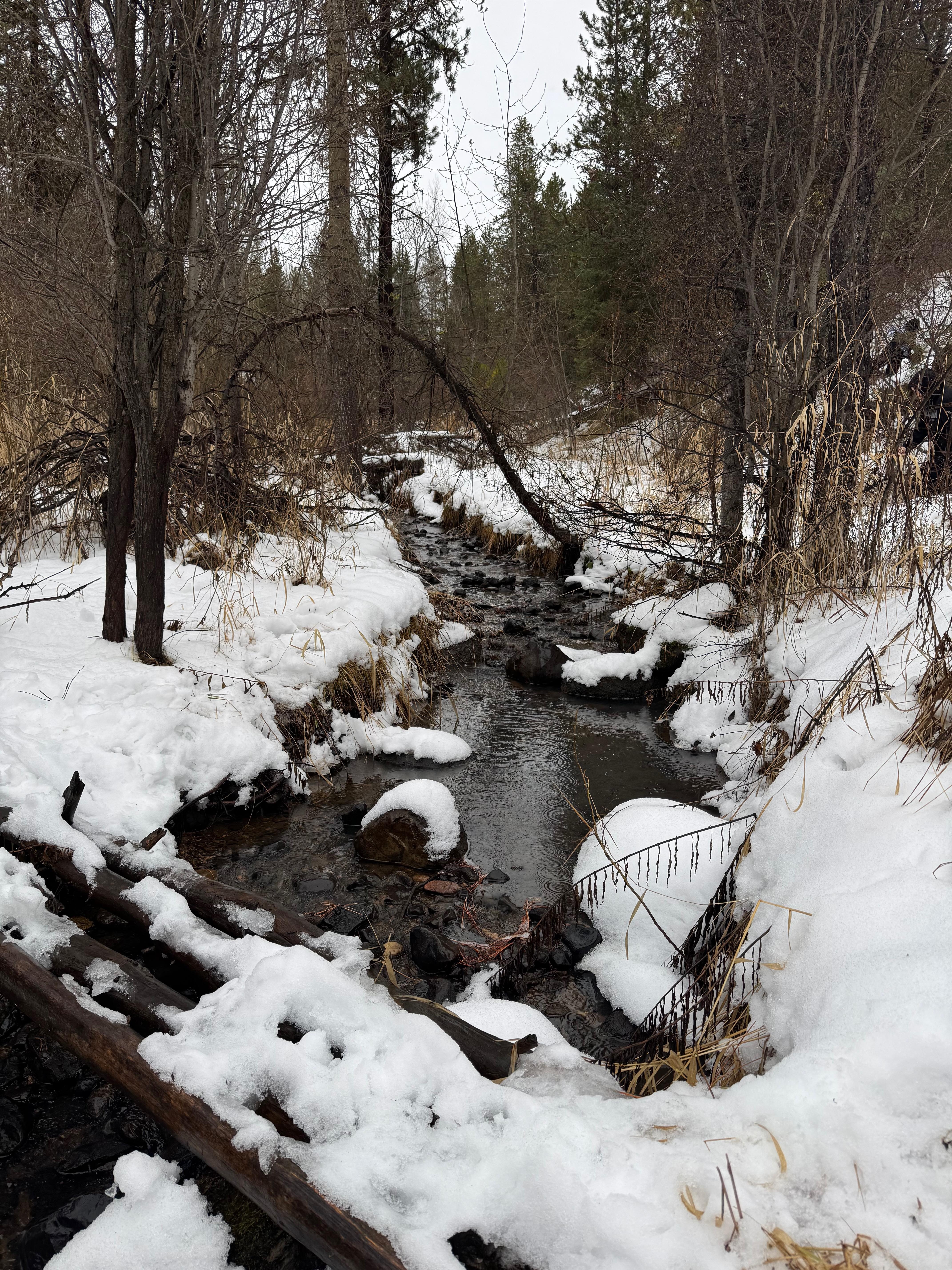 Stream running through property