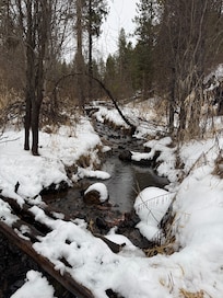 Stream running through property