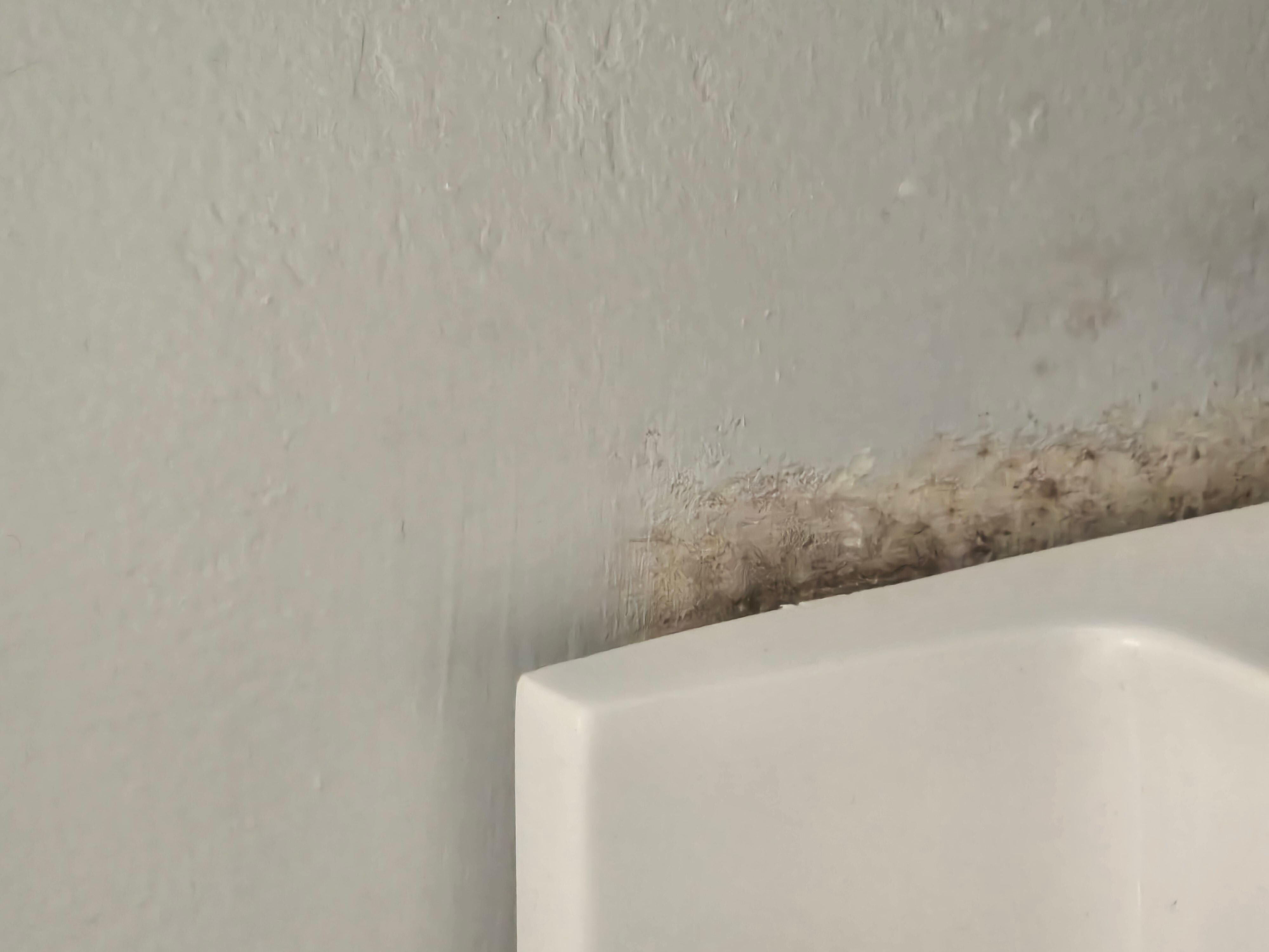 Mold behind bathroom vanity