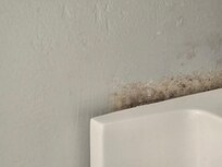 Mold behind bathroom vanity