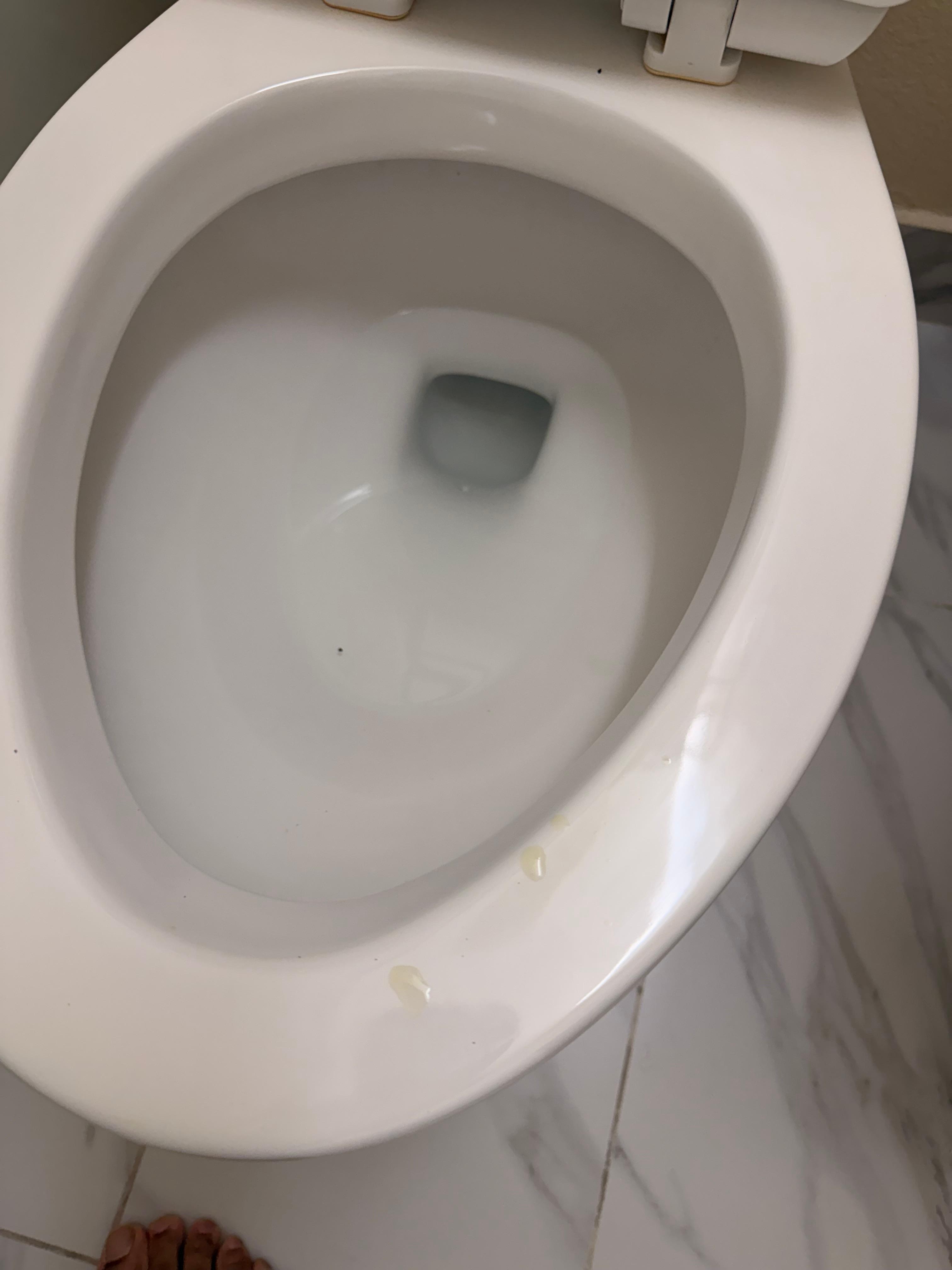 Pissy seat