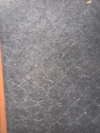 Dirty floor mat that is difficult to see because the light was burned out in the entryway. Can see if you blow up.