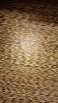 Disguting hair on sheets, not replaced