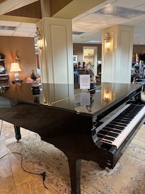 Beautiful piano. Wish I could play.