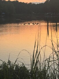 Wildlife at sunset.