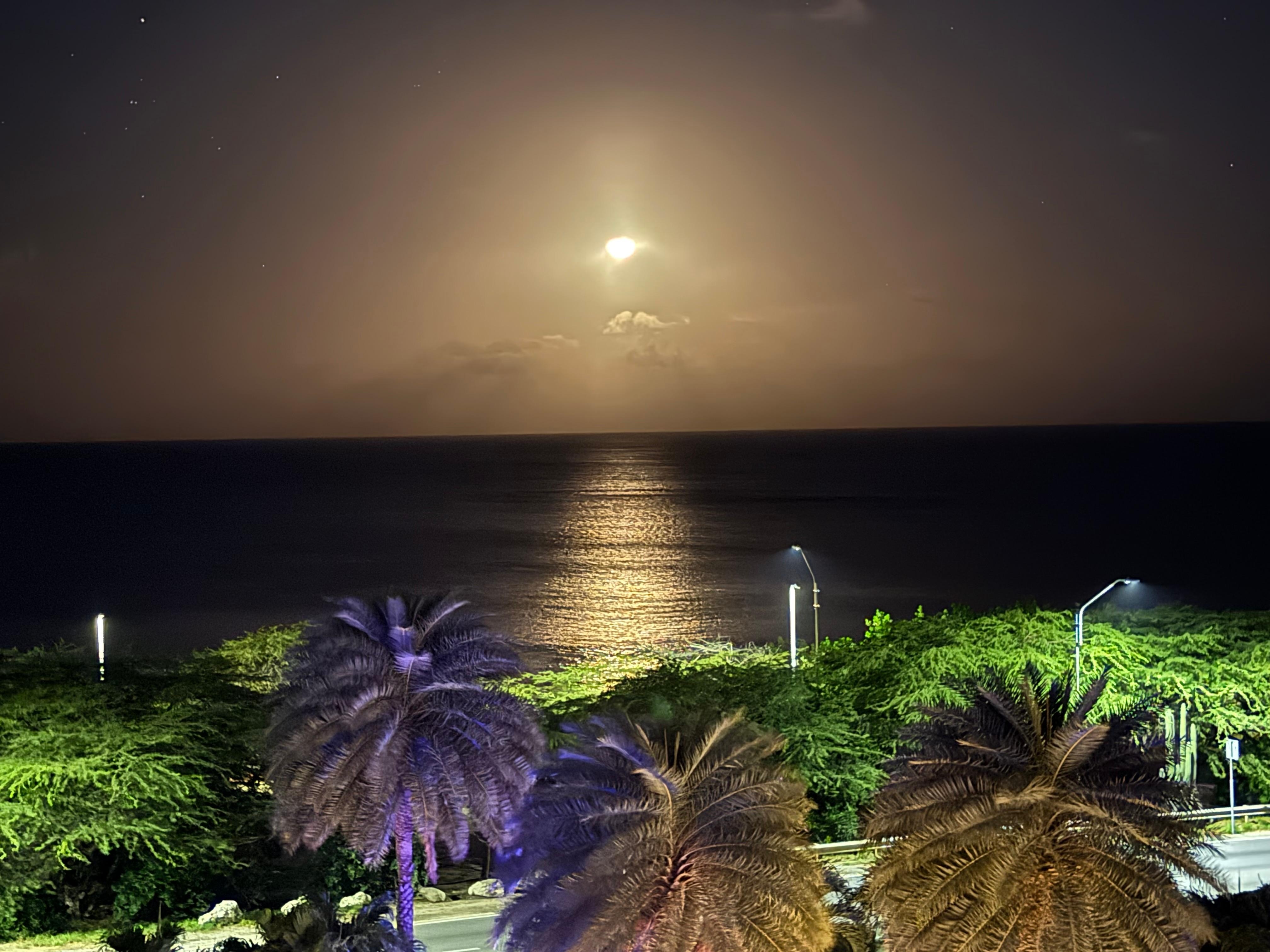 This is what I saw laying in bed every night,   