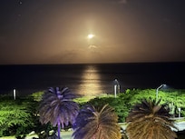 This is what I saw laying in bed every night,