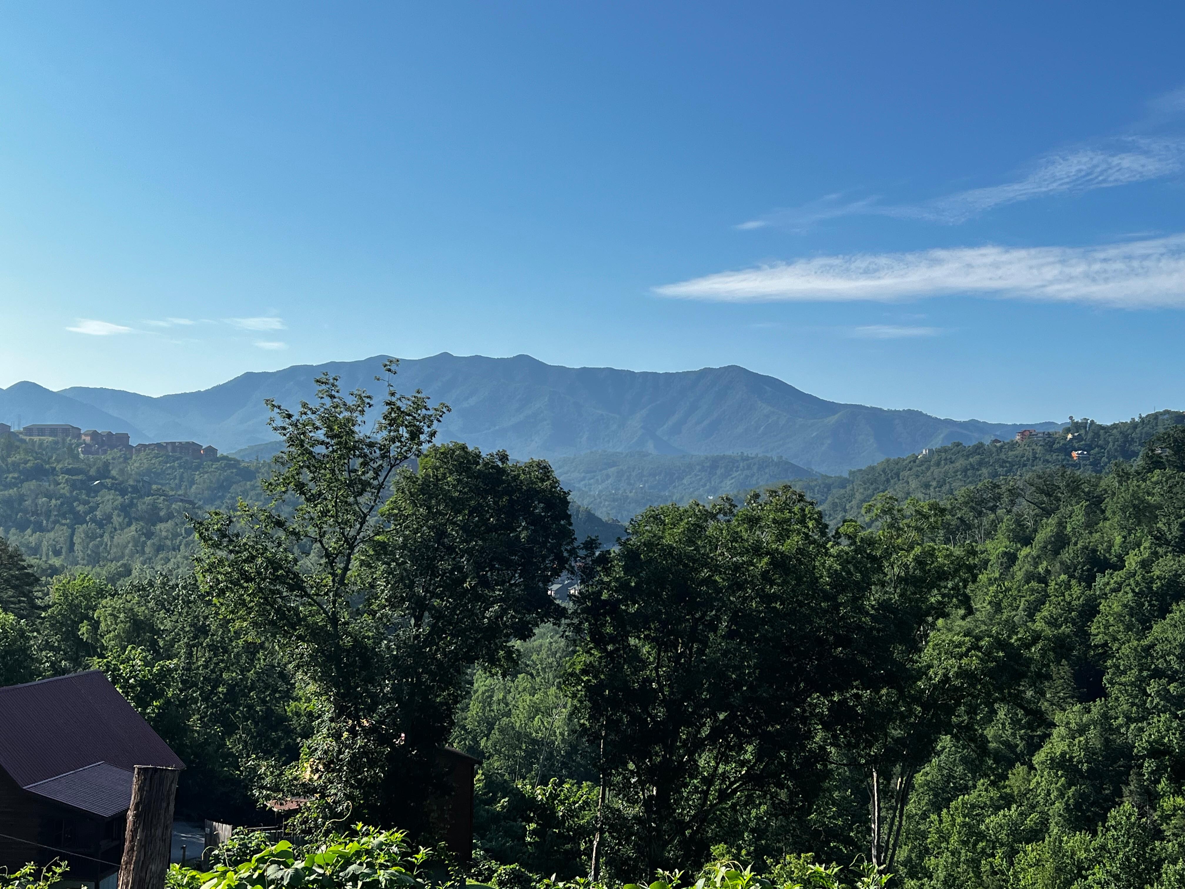 From porch