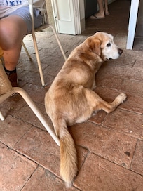 Napo…short for Napoleon 💕
