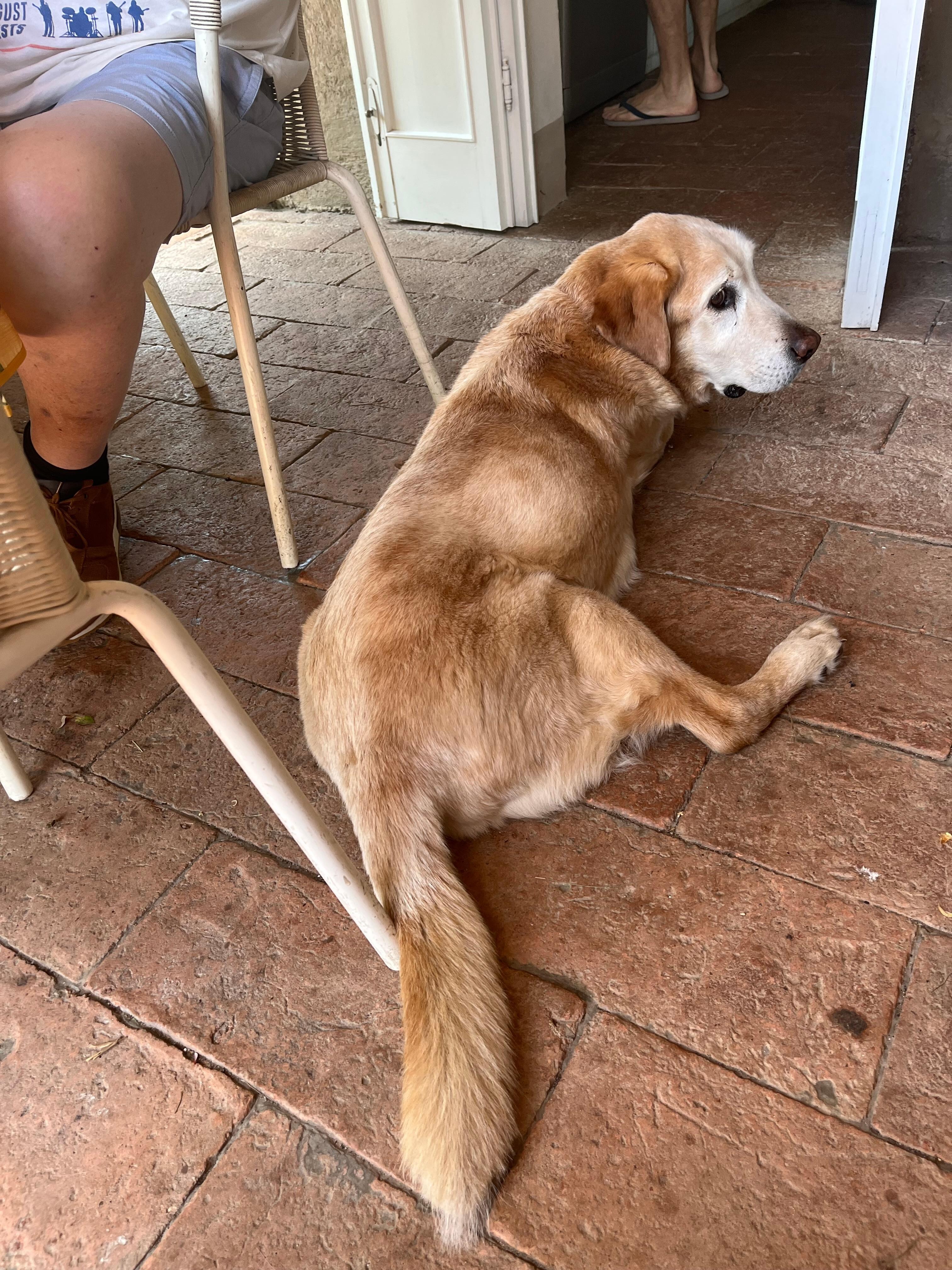 Napo…short for Napoleon 💕