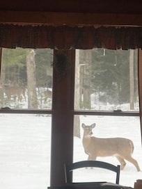 Morning friends and breakfast.