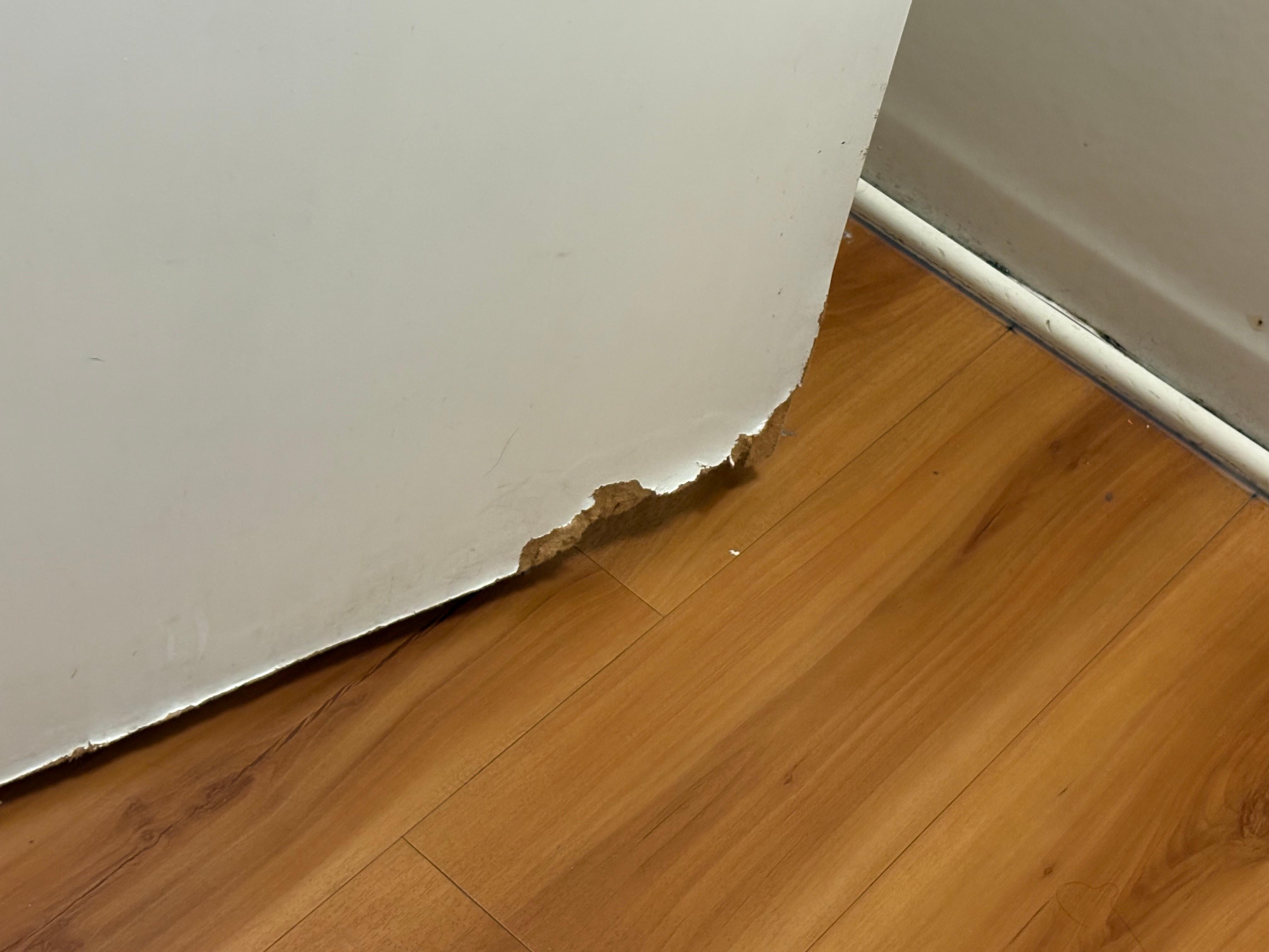 Bathroom door
