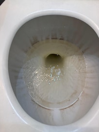 It’s like dirt was coming out of the pipes. This is one toilet, the other pictures the other toilet.