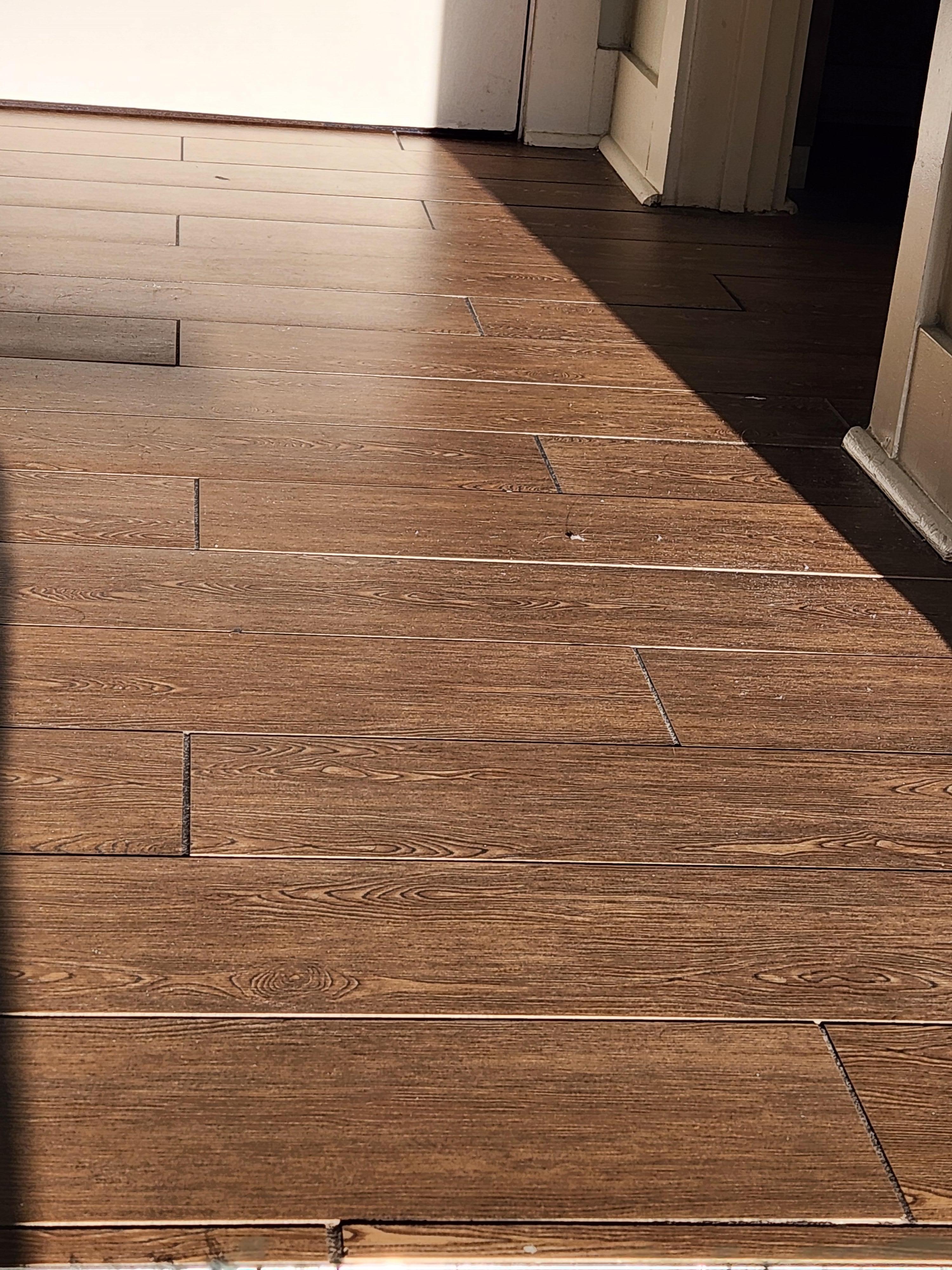 Hair and dust on the floor