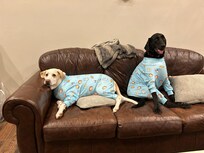 The boys chillin on the first night