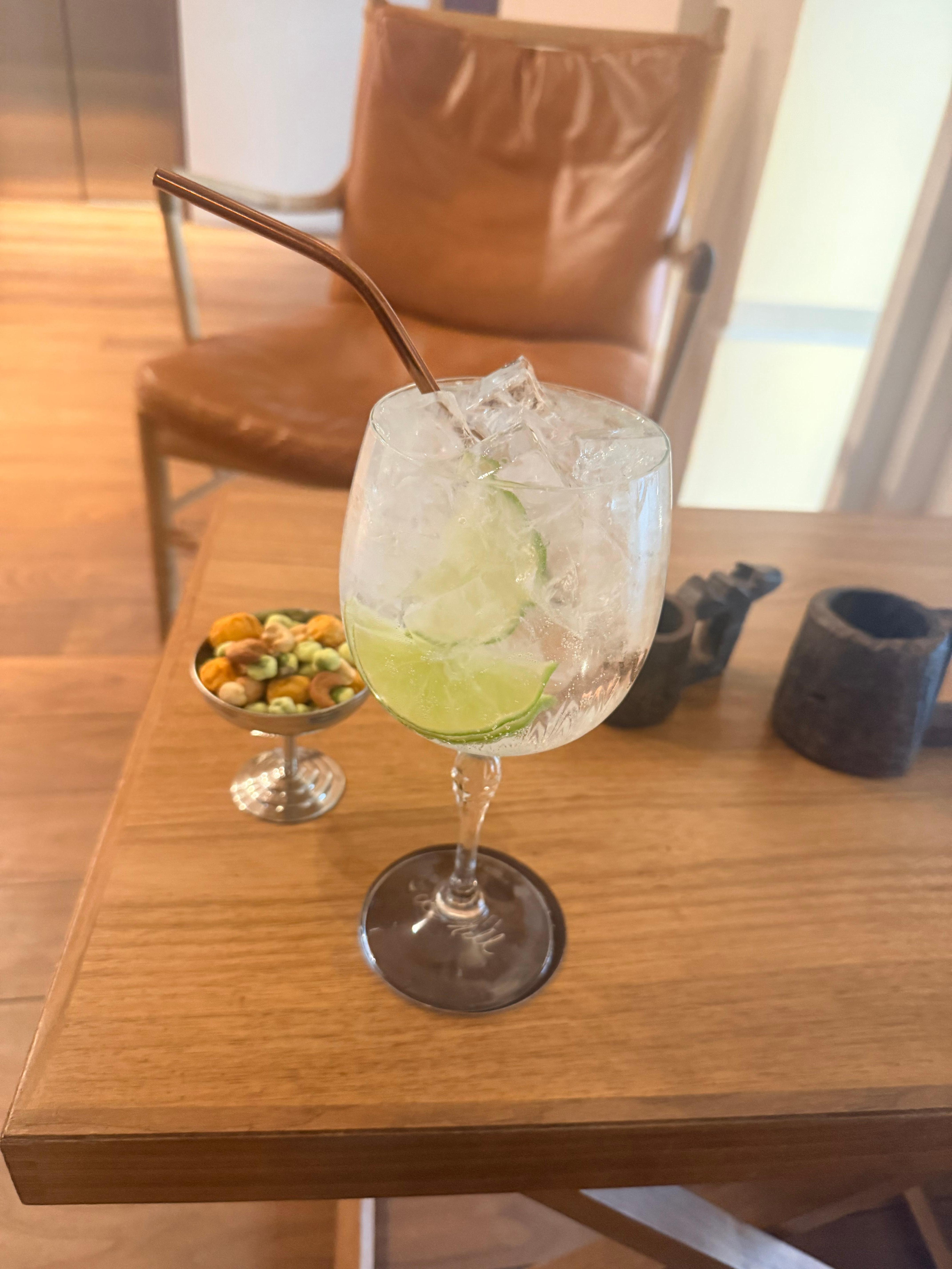 Gin and tonic 