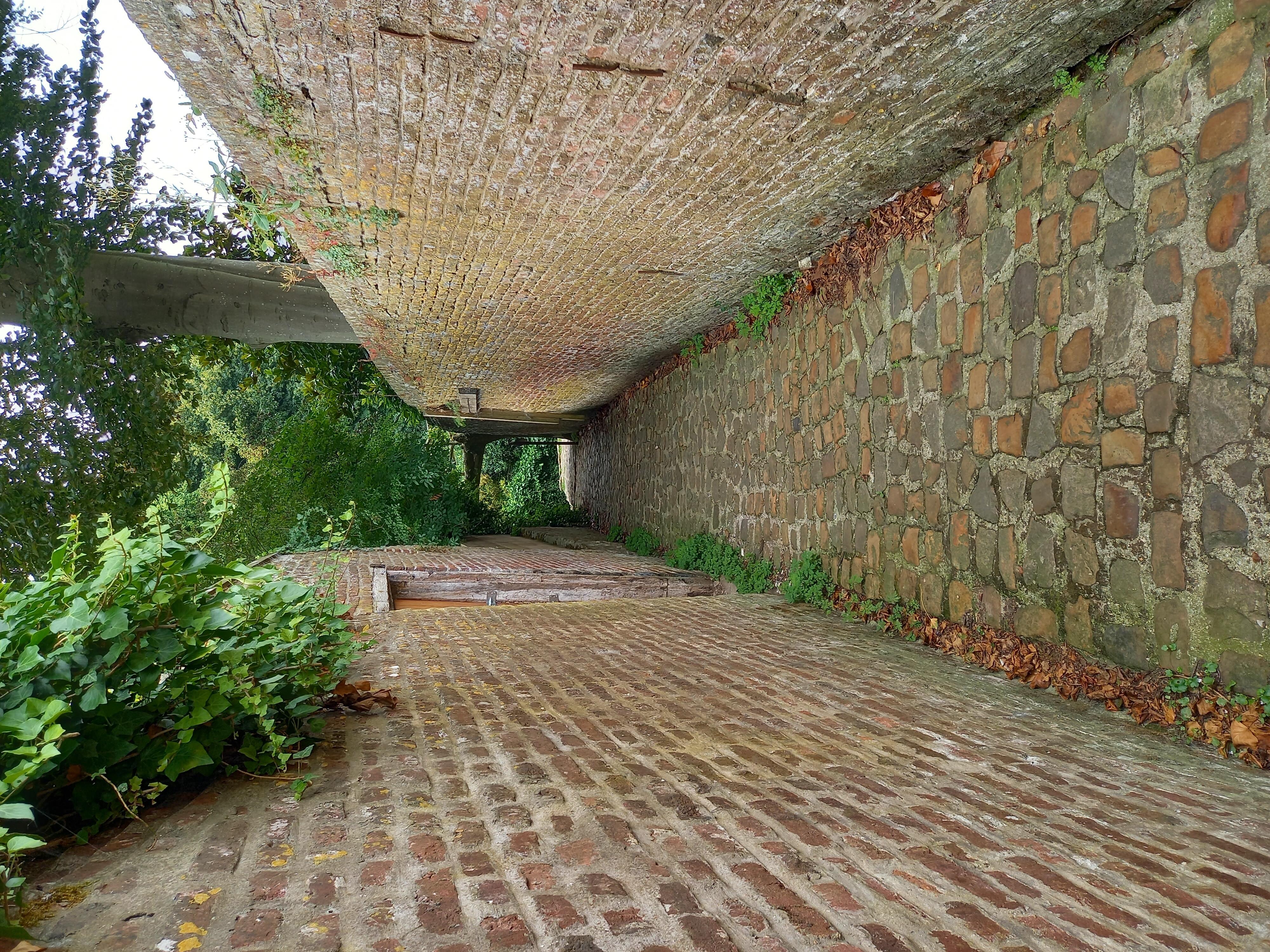 Les remparts de Cassel