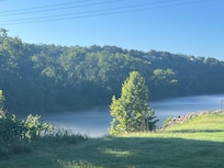 View from the patio in the morning.