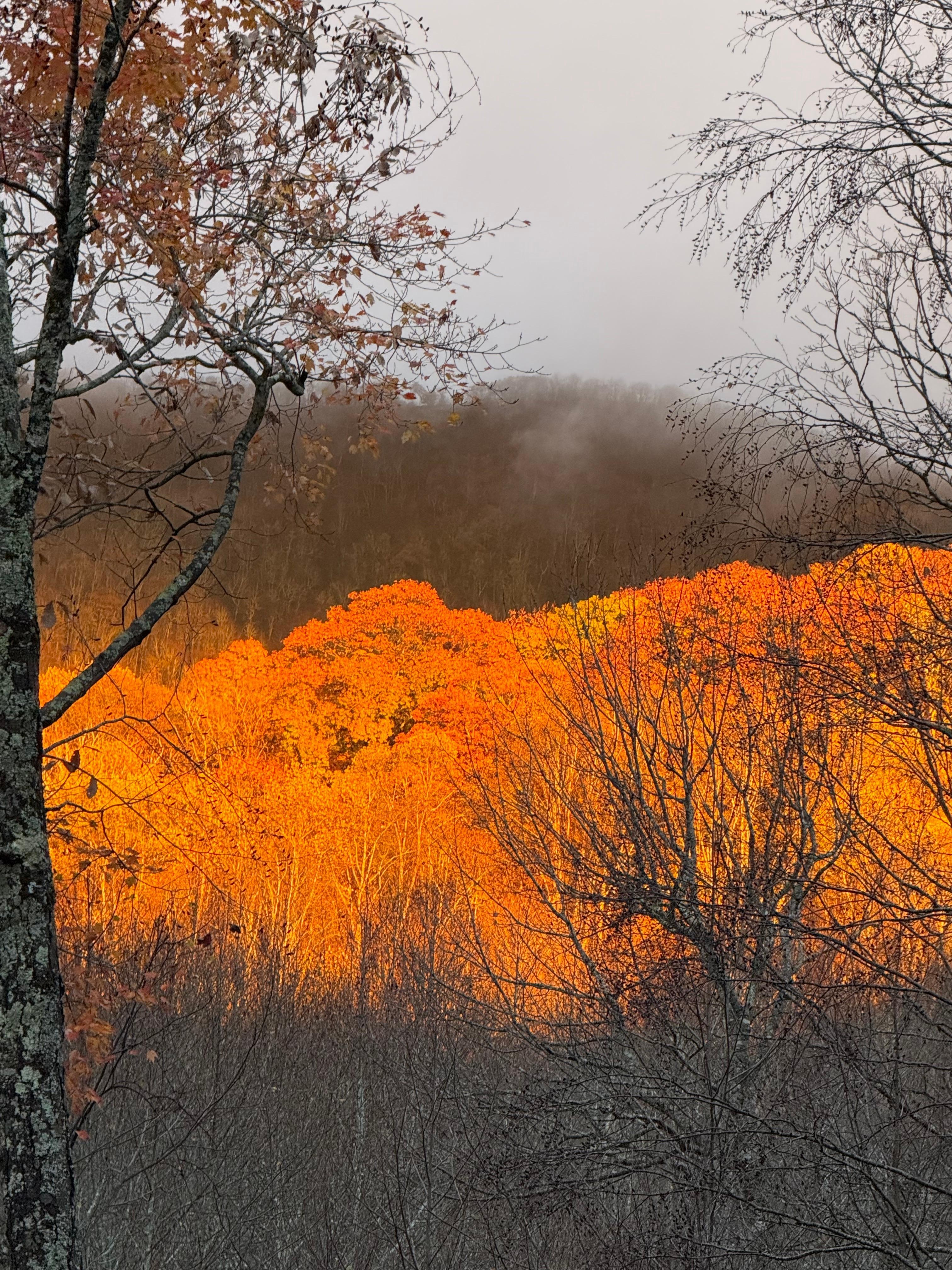 Sunrise from the deck