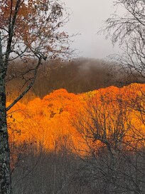 Sunrise from the deck
