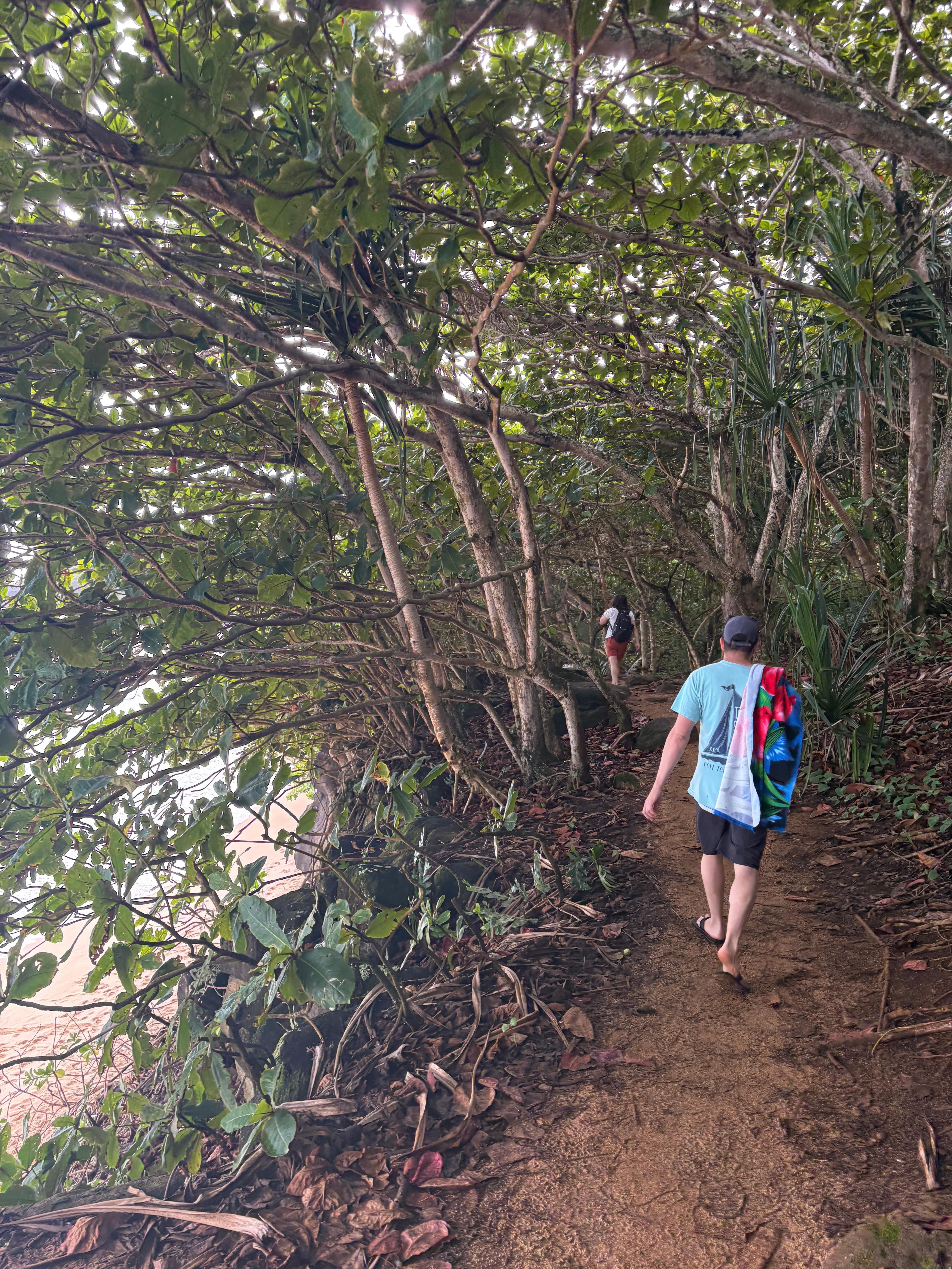 Near by hike