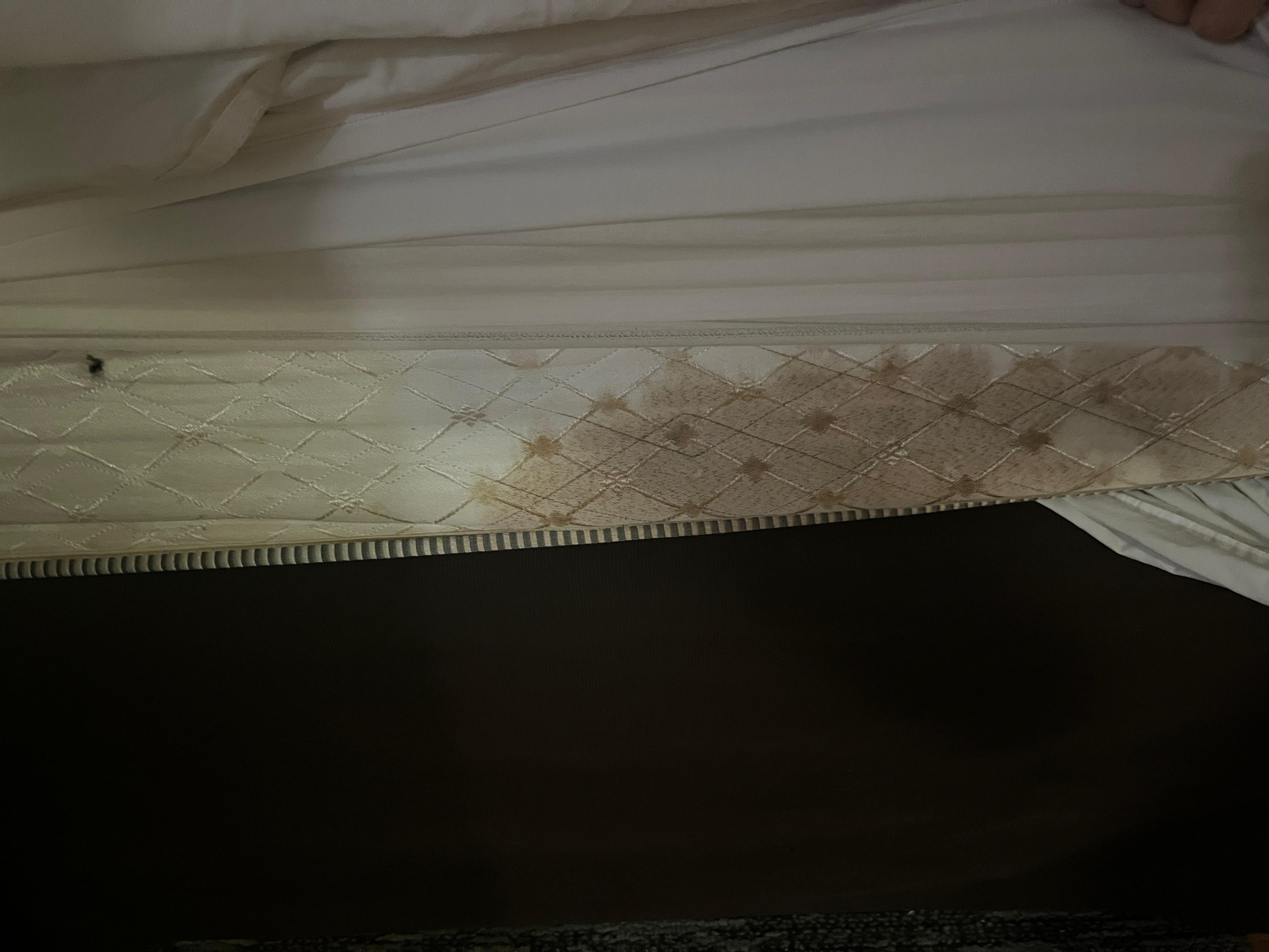 Mold and musty smell in the rooms. 