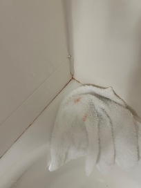 It doesn't take much to clean the crevices. Makes you wonder how well they cleaned the shower at all? Shower had good pressure but didn't drain well.