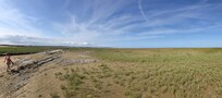 La baie des veys
