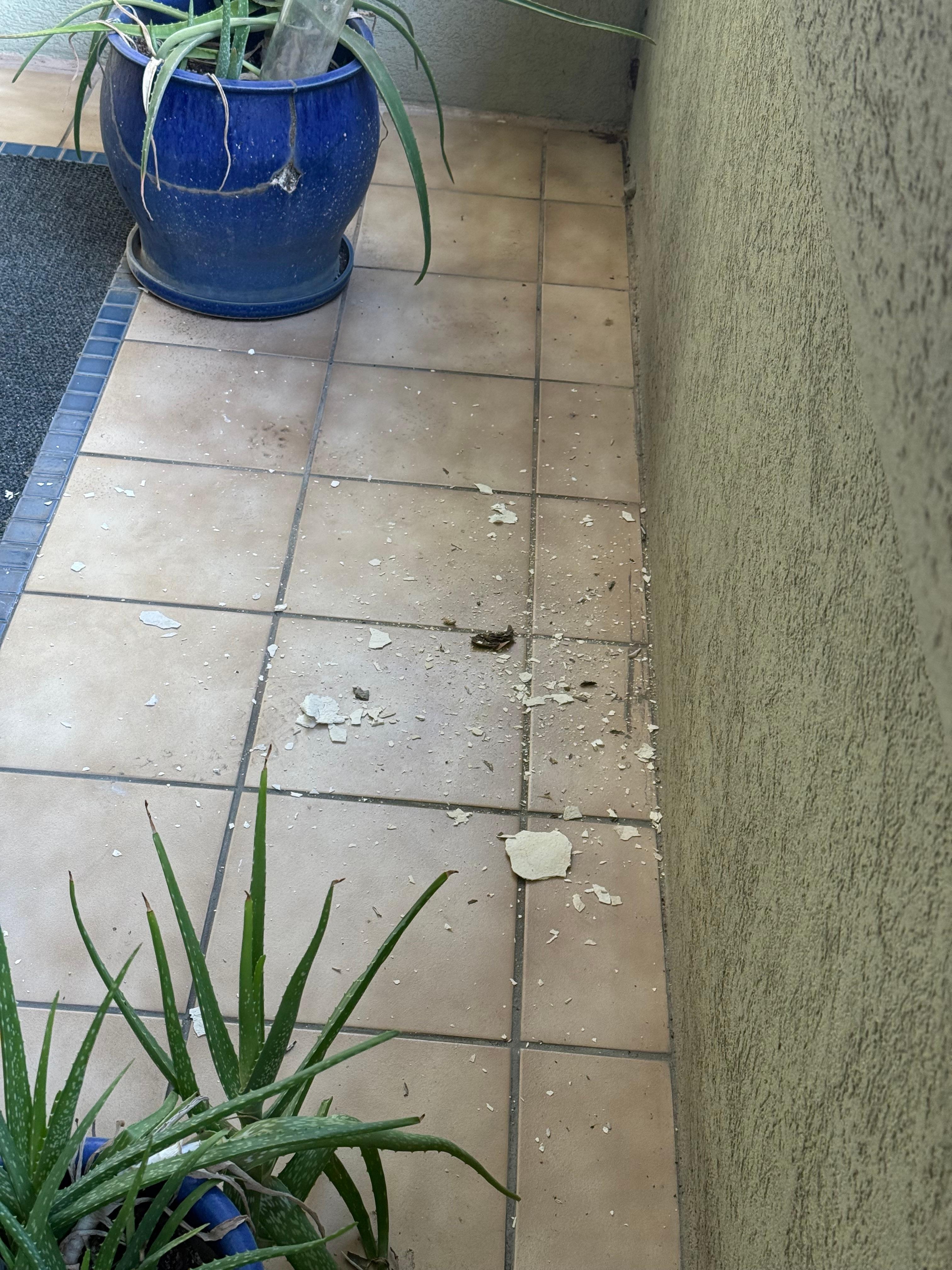 Hairdryer that shocked me 